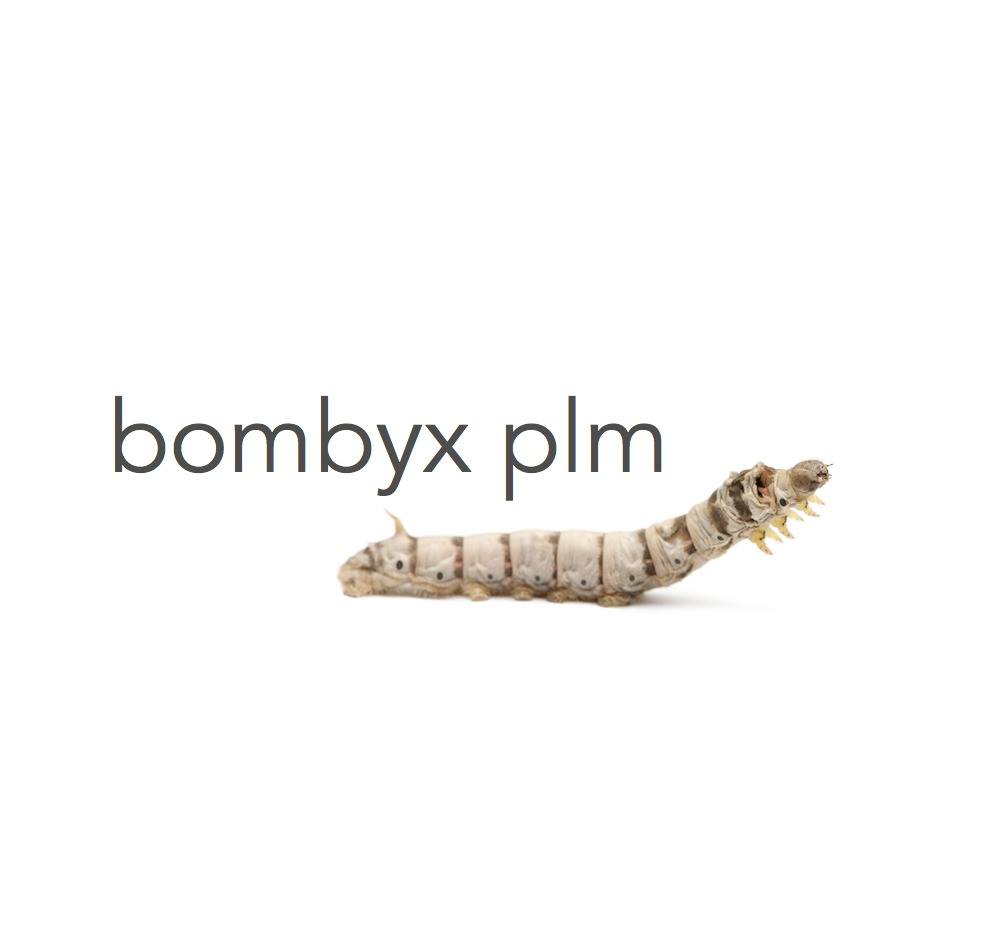 Bombyx PLM company logo