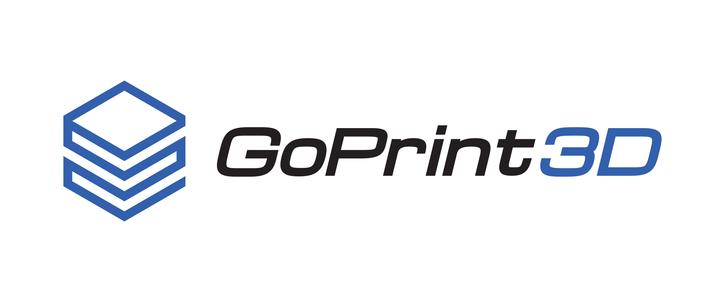 GoPrint3d company logo