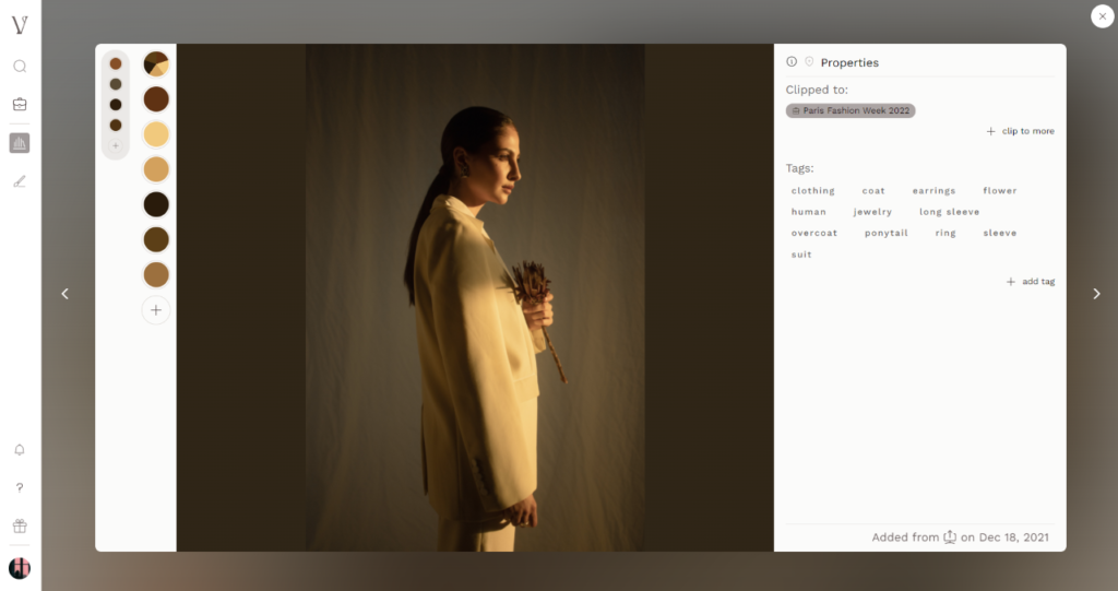 Screenshot from Visualist, with a photo of a women wearing beige and pale brown and the interface presenting circles with relevant shades of brown from the image